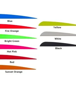 AAE Traditional 50 Vanes 50 Pack