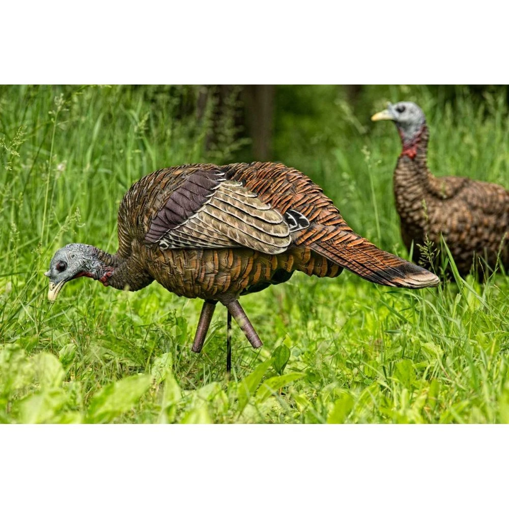 Avian-X LCD Feeder Hen Turkey Decoy - Image 2