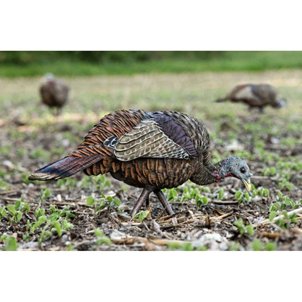 Avian-X LCD Feeder Hen Turkey Decoy - Image 3