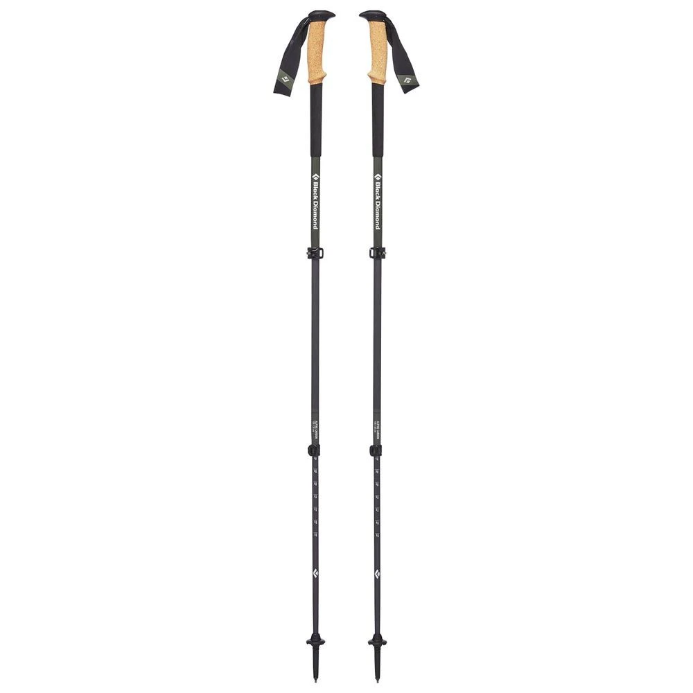 Black Diamond Alpine Carbon Cork Trekking Poles