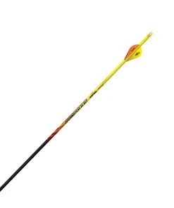 Black Eagle Renegade Half Dozen Fletched Arrows