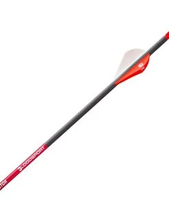 Bloodsport Prosecutor Half Dozen Fletched Arrows