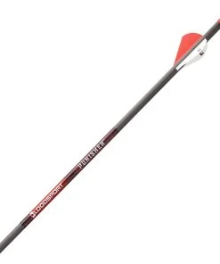 Bloodsport Punisher Half Dozen Fletched Arrows