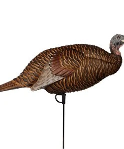 Flextone Thunder Chick Breeder Hen Turkey Decoy