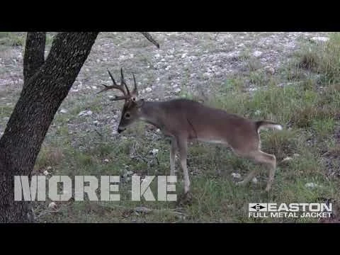 Easton 5mm FMJ Autumn Orange Half Dozen Fletched Arrows - Image 3