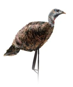 Montana Decoy Miss Purrfect XD Turkey Hen Decoy