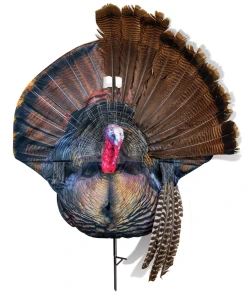 Montana Decoy Wiley Tom 2D Gobbler Turkey Decoy