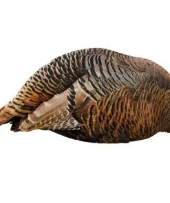 Montana Decoy Dinner Belle Turkey Decoy