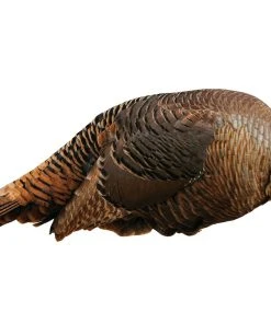 Montana Decoy Spring Fling Turkey Decoy