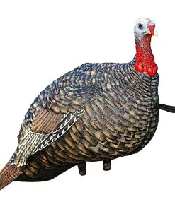 Avian-X LCD Quarter Strut Jake Turkey Decoy