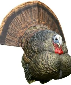 Avian-X LCD Strutter Turkey Decoy