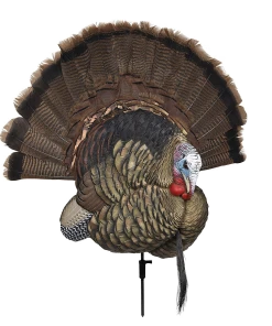 Avian-X Trophy Tom Turkey Decoy And Taxidermy Display